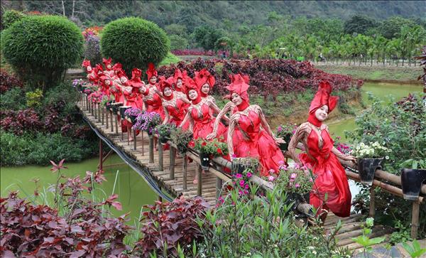 Vẻ đẹp say lòng người của các mùa hoa di sản tại Ninh Bình