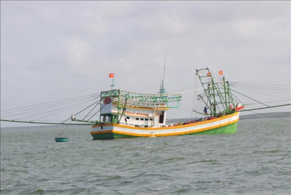 Ca Mau determined to eliminate illegal, unreported and unregulated fishing