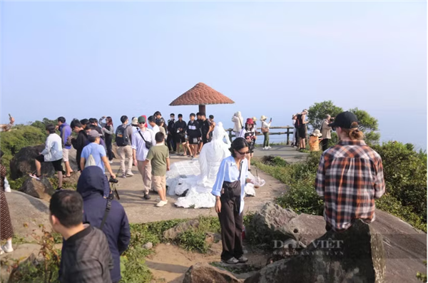 À Dà Nang, excursion autour du thé au sommet de Son Trà après Bill Gates