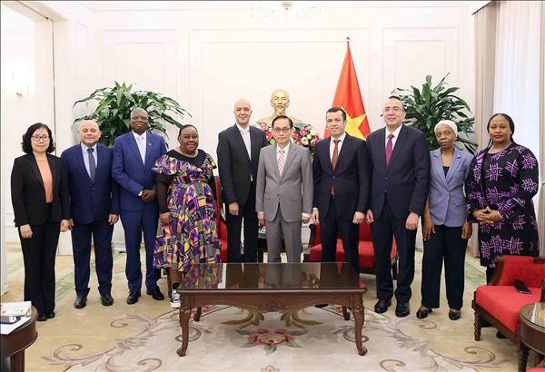 Le ministre des AE Le Hoai Trung reçoit le Groupe des ambassadeurs des pays africains au Vietnam