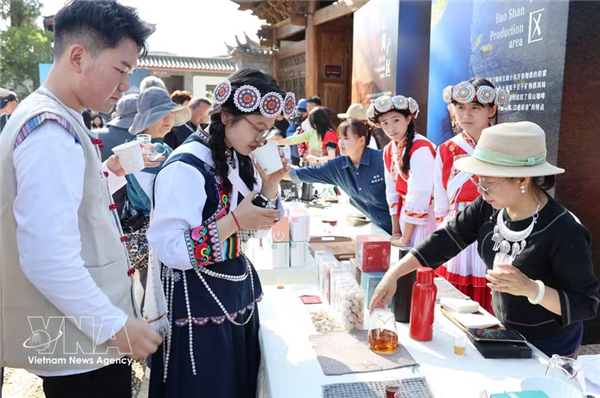Vietnam y China fortalecen cooperación en sector cafetalero