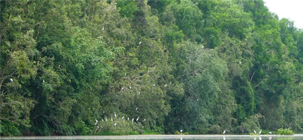 Préserver la biodiversité : des actions locales pour un avenir durable