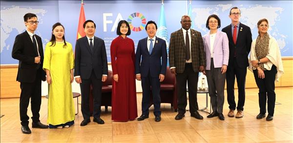 FAO luôn coi trọng Việt Nam là đối tác quan trọng trong khu vực