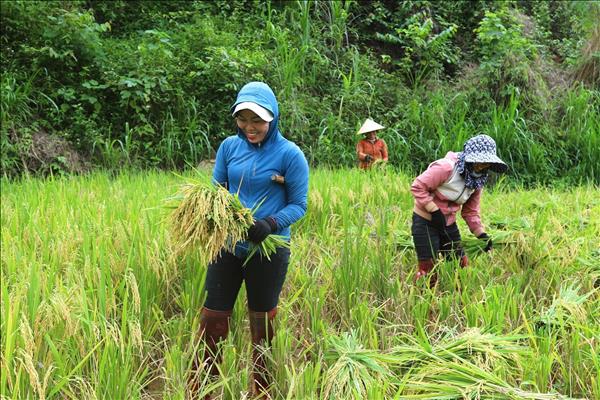 Nhịp sống của đồng bào Thái ở thung lũng Bình Chuẩn
