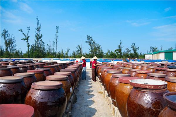 Số hóa xúc tiến thương mại đưa nông sản ra thị trường lớn