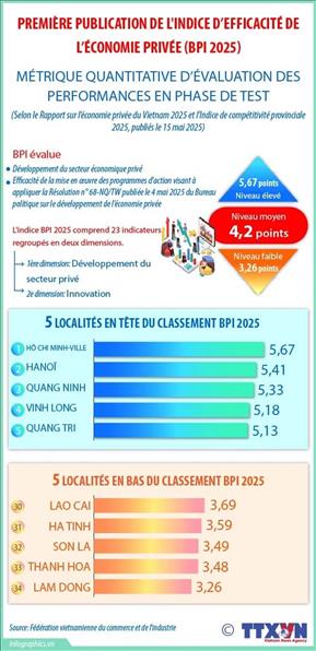 Première publication de lIndice defficacité de léconomie privée (BPI 2025)