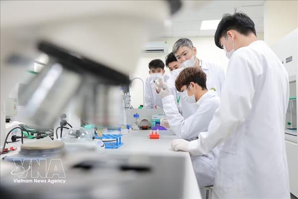 Lindustrie biotechnologique : un nouveau potentiel de percée
