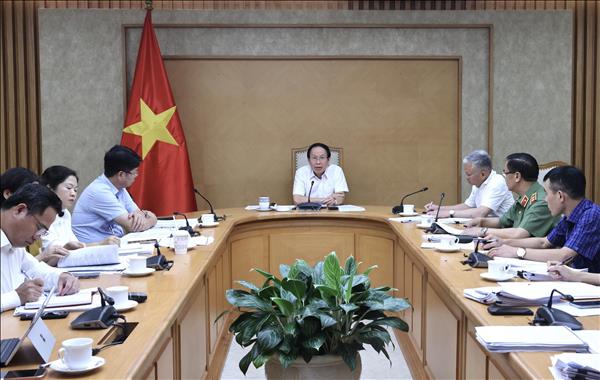 Xử lý vi phạm hành chính: Rà soát, tính toán kỹ để bảo đảm khả năng thực thi, tính răn đe và đồng thuận xã hội​