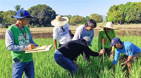 Vietnam y Filipinas fortalecen cooperación para garantizar la seguridad alimentaria
