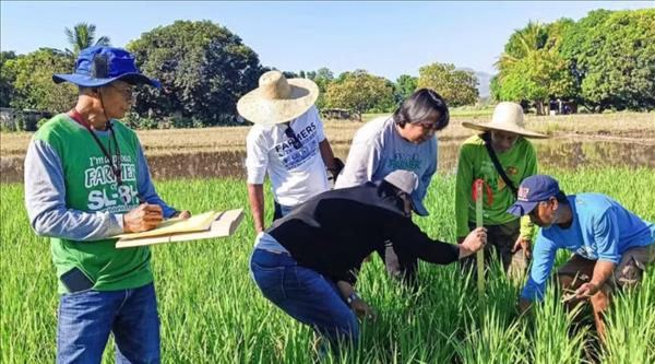 Vietnam, Philippines further boost cooperation in food security
