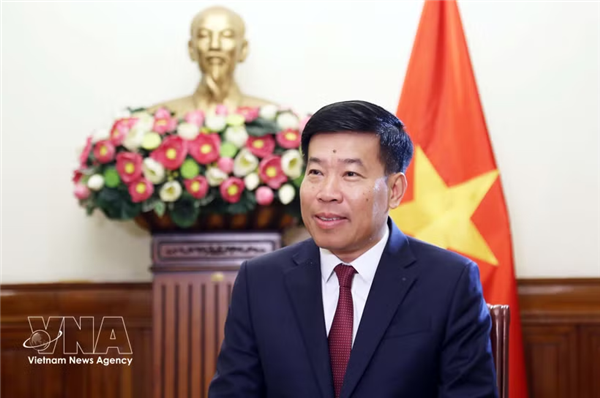 进一步继续巩固政治互信，提升越新战略协调水平