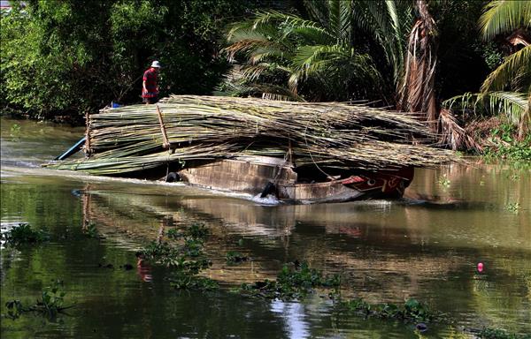 Thuyền ghe, phương tiện vận chuyển nông sản đặc trưng ở Cần Thơ