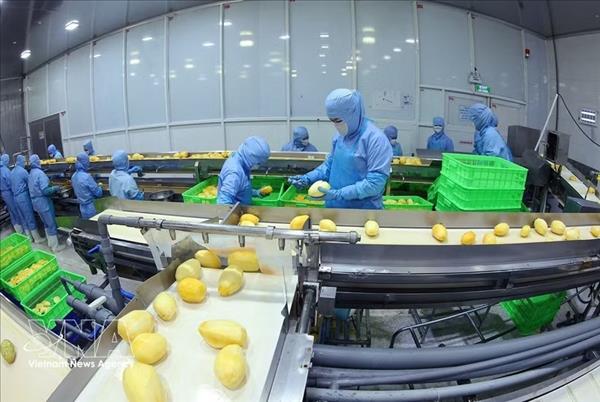Экспорт сельскохозяйственной продукции: преодоление технических барьеров благодаря цифровизации и технологиям