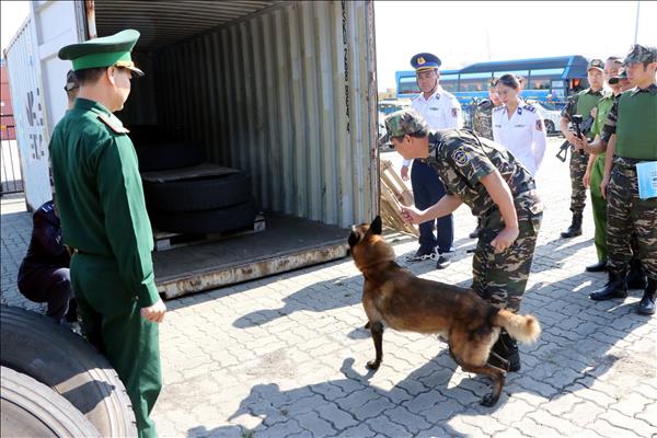 PM orders implementation of activities for 2026 anti-drug action month