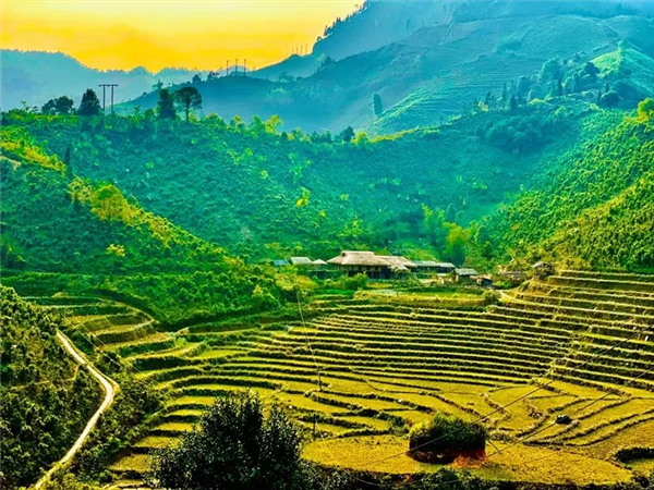 通过社交网大力推广越南旅游形象
