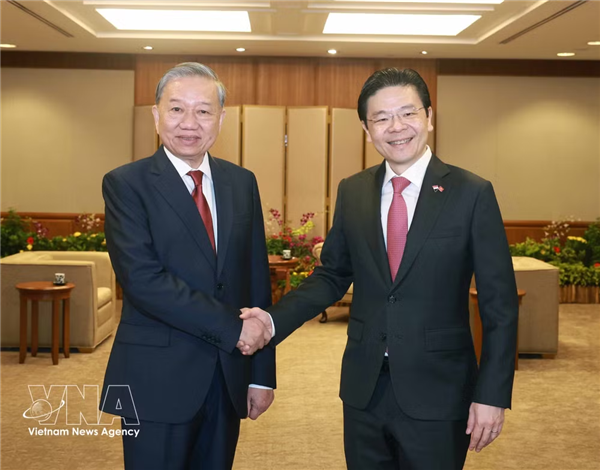 越新关系迈向新高度：彰显越南的国际角色