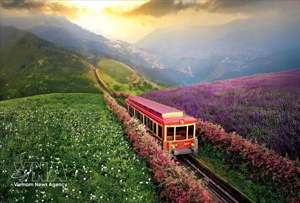 Vietnams tourism sector accelerates green transition