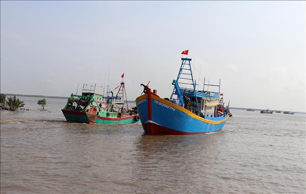 Khắc phục thẻ vàng IUU: Đồng Nai xử lý dứt điểm tàu cá không đủ điều kiện hoạt động