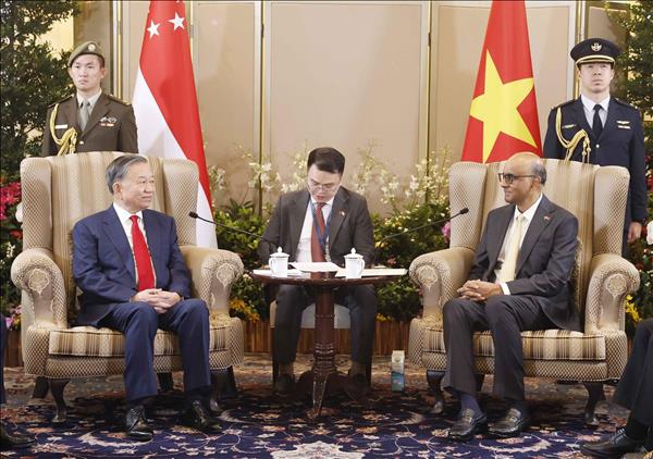 Vietnam, Singapore to promote sci-tech, innovation as pillar of Comprehensive Strategic Partnership