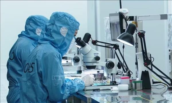 Le Vietnam ambitionne de créer 50 groupes de recherche de haut niveau dici 2035