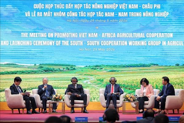 Ra mắt Nhóm công tác Hợp tác Nam – Nam trong nông nghiệp