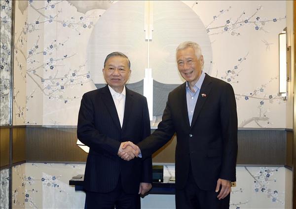 Vietnam-Singapore ties: a cooperation model in ASEAN