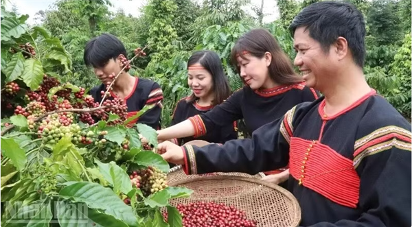 National Geographic : Buon Ma Thuot classé parmi les meilleures destinations gastronomiques du monde