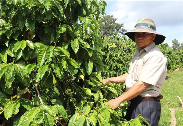 Cựu chiến binh thành công từ mô hình kinh tế tổng hợp