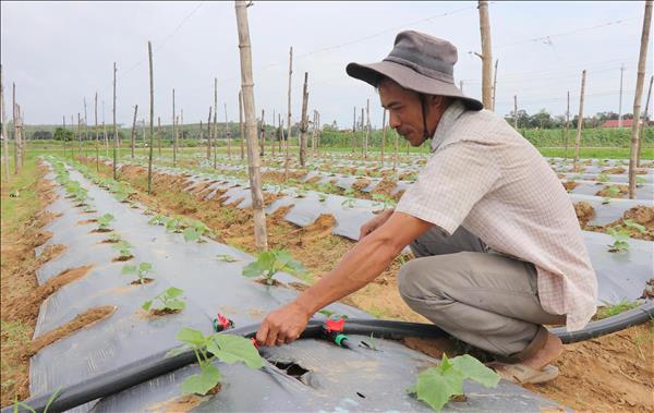 Thu hút nhân tài và doanh nghiệp công nghệ cao đến Quảng Ngãi