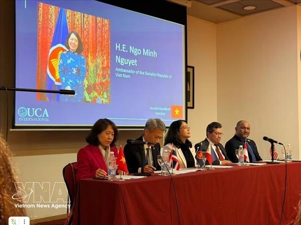 Vietnam reaffirms independent foreign policy, strategic autonomy: Ambassador