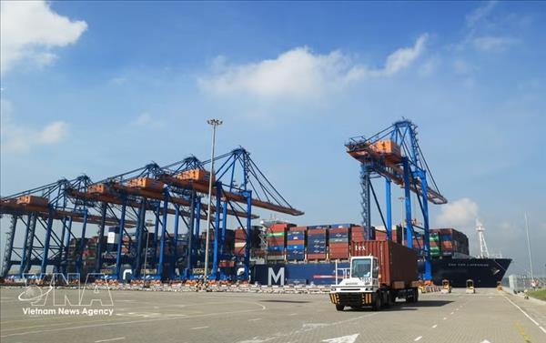 Vietnam seen as ASEANs resilient growth bright spot