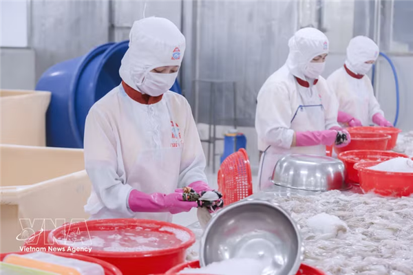 越南水产品积极巩固美国市场份额