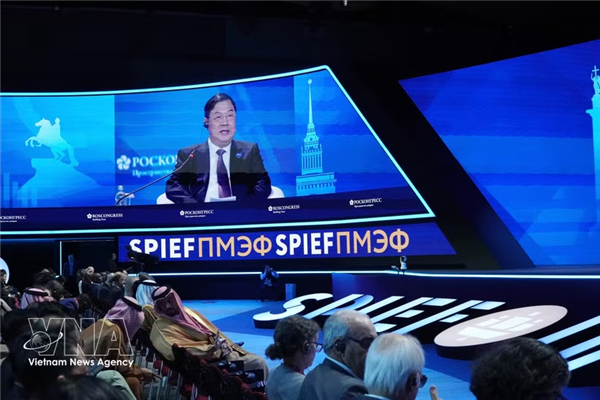SPIEF 29：越南政府常务副总理范家足提出三项重要合作方向