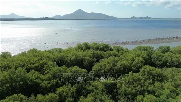 高平省多措并举 促进旅游可持续发展