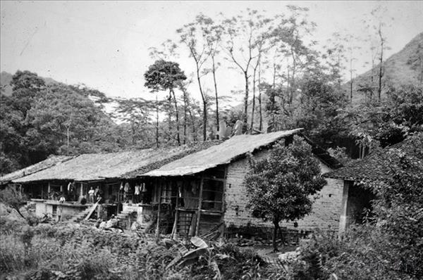 115 năm ngày Bác Hồ ra đi tìm đường cứu nước: Tiếp nối hành trình trí tuệ Việt vươn ra thế giới