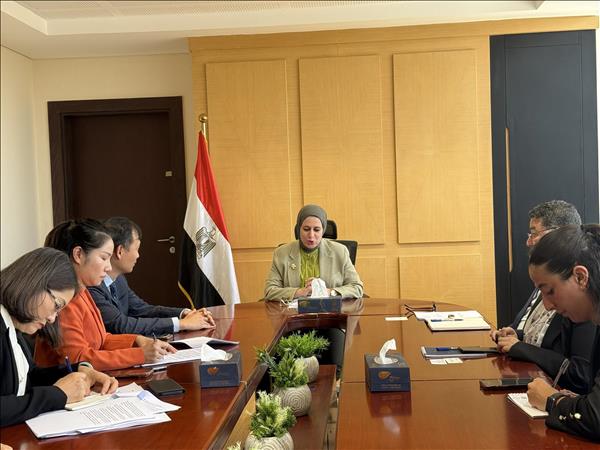 Vietnam, Egypt step up implementation of comprehensive partnership