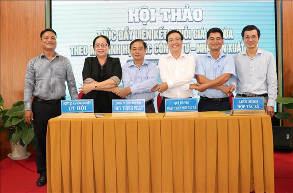 Thúc đẩy liên kết chuỗi giá trị dừa theo mô hình hợp tác 4P