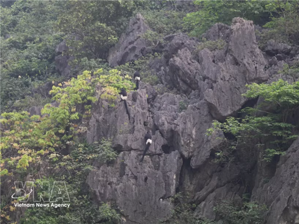 Patrimoine mondial : Ninh Binh engage le dossier Vân Long – Kim Bang – Tam Chuc