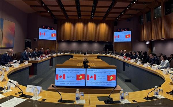 Вьетнам и Канада согласовали новые ориентиры экономического сотрудничества