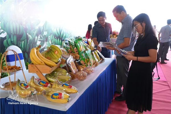 Agricultura vietnamita mantiene sólido superávit comercial pese a desafíos globales