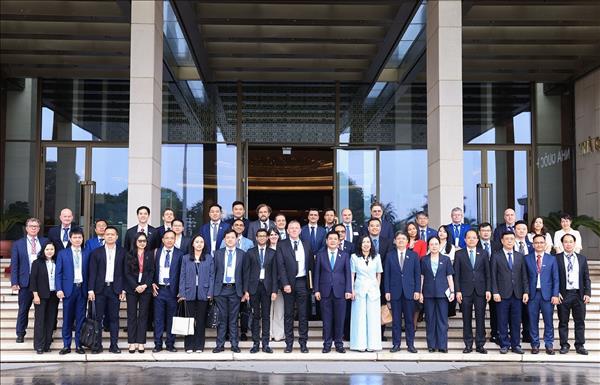 Thúc đẩy cơ hội đầu tư trong lĩnh vực điện gió, năng lượng tái tạo tại Việt Nam