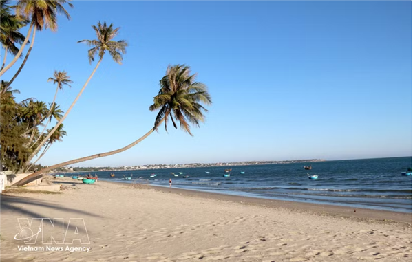 Mui Ne est la capitale asiatique du kitesurf, selon Figaro Nautisme
