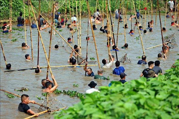 Dập sào bắt cá - Nét đẹp trên dòng sông Tích