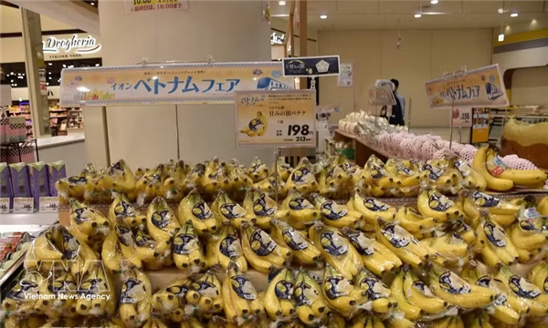 Sabores y productos de Vietnam llegan a más de 400 tiendas de Japón