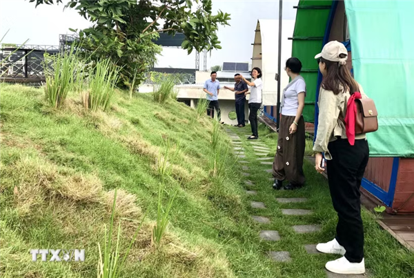 Du lịch trải nghiệm hồi sinh vùng sinh thái lân cận Thành phố Hồ Chí Minh