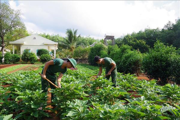 Xây trận địa hậu cần vững chắc nơi biên cương