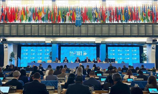 FAO: Việt Nam là ví dụ tiêu biểu trong việc triển khai hiệu quả hợp tác Nam - Nam