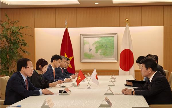 Vietnam, Japan seek to deepen all-round relations