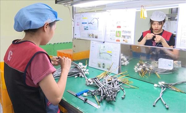 多くの経済指標　タイグエン省の前向きな成長見られる