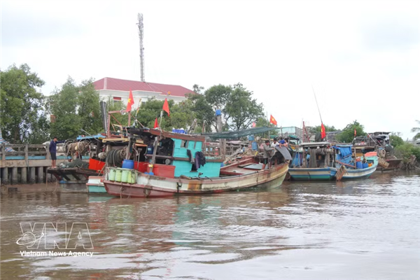 Provincia de Ca Mau refuerza el control pesquero
